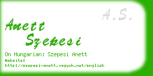 anett szepesi business card